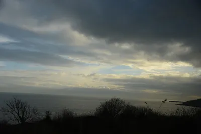 DSC_1341 (Large).JPG